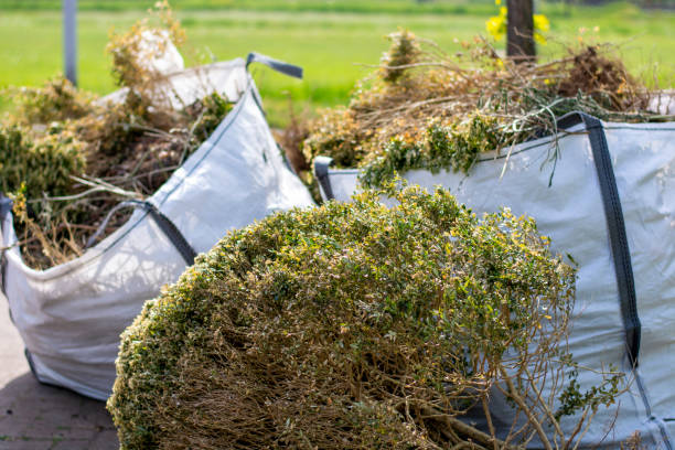 Full-Service Junk Removal in Calcium, NY